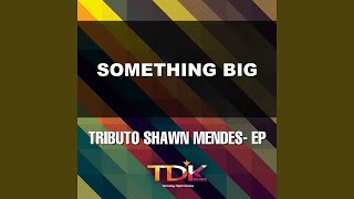 Something Big (Karaoke Version) (In The Style Of Shawn Mendes)