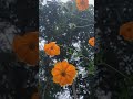 Redmi Note7 Pro Camera Review