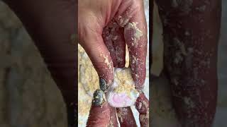 Asmr Cornstarch Bunnies Crumble