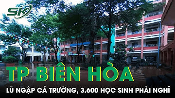 3.600 Học Sinh Phải Nghỉ Học Do Nước Lũ Dâng Cao Ở TP Biên Hòa, Đồng Nai | SKĐS