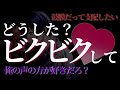 【女性向けボイス】鼓膜だって支配したい【耳舐め】バイノーラル/女性向けシチュエーションボイス/ASMR