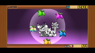 Battle Cats Earth King Sodom true Form