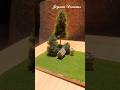 DIY Mini Grass Lawn Making Using Waste Materials #shorts #teachereducation #model #project