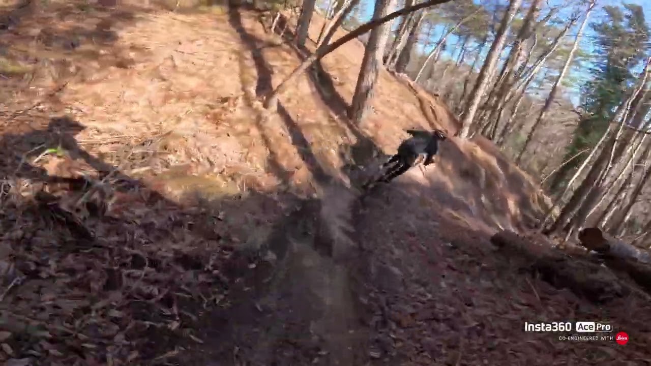 Cesane - 137 bis completo