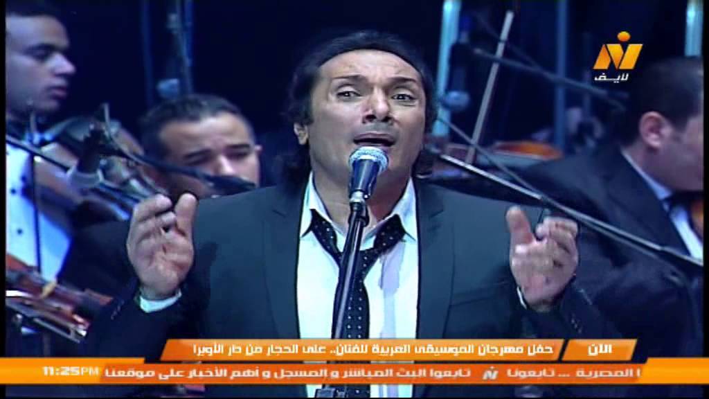 حفلة علي الحجار في مهرجان الموسيقى العربية 2014