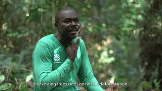 Journey of tropical wood | forest operations manager
