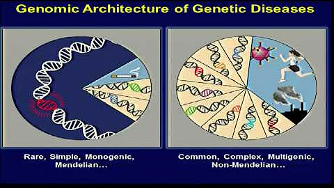 The Genomic Landscape circa 2012 - Eric Green