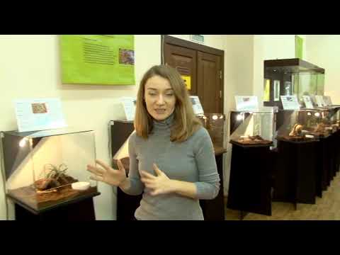 Магазин Паук Саратов Официальный Сайт