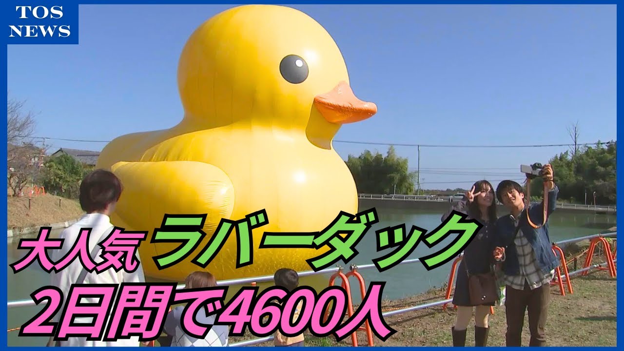 RUSHTON 大きなアヒルちゃん 香港に帰ってきたゴム製アヒル 今度は2羽