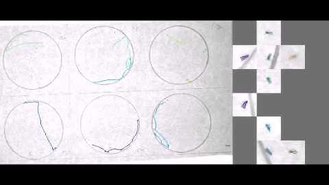 Replicate functional response experiments
