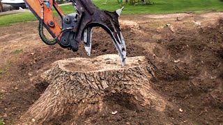 Extreme Dangerous Huge Stump Destroy Machines in Action, Fast Stump Removal Grinding Skill Equipment