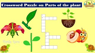 Crossword Puzzle || Parts of the Plants || Crossword puzzle on parts of the plants || Turtle Race screenshot 5