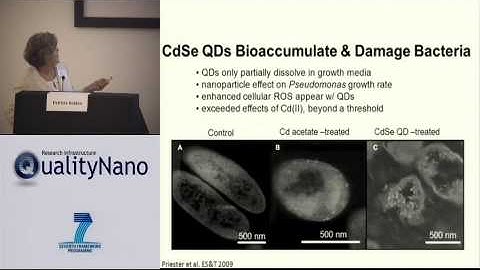 Evaluating Nanomaterial Safety in the Context of Ecological Processes