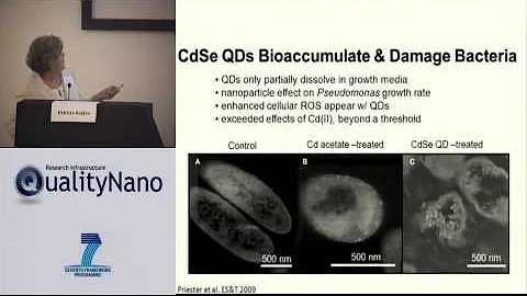 Evaluating Nanomaterial Safety in the Context of Ecological Processes