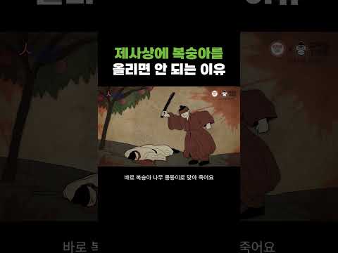 <strong>제사상에</strong> 복숭아를 올리면 안 되는 이유