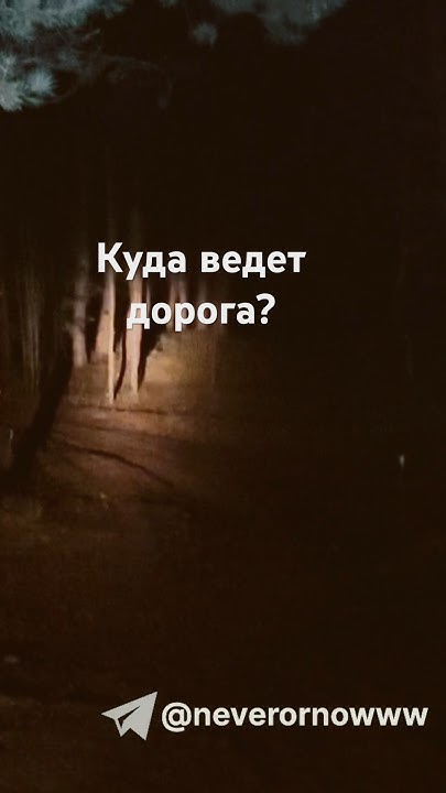 Ночная дорога в лесу? / Where will the road take us? #summer #night # ...