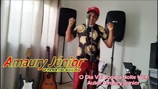 saudade não tem idadeo dia va logo ai noite vem autor Amaury junior vou