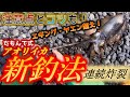 続編：エギング・ヤエン超え！？だもんで式法で連続アオリイカ！注意点とコツも！【25話】