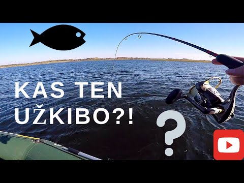 Video: Kaip Užkariauti Žuvį