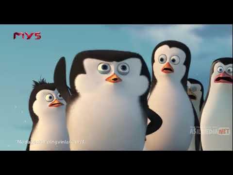 BDSM analingus Tarjima bilan porno qichqiriq