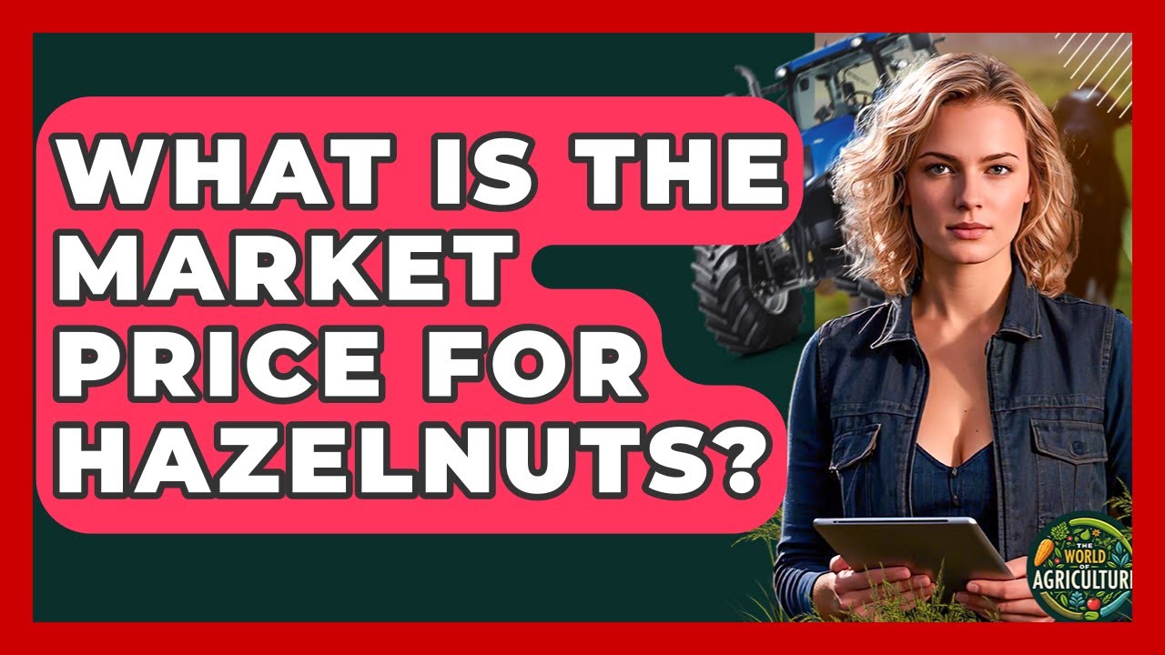 What Is The Market Price For Hazelnuts? - The World of Agriculture