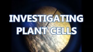Investigating Plant Cells I Lab Experiment I Flip Learning I Science Alon