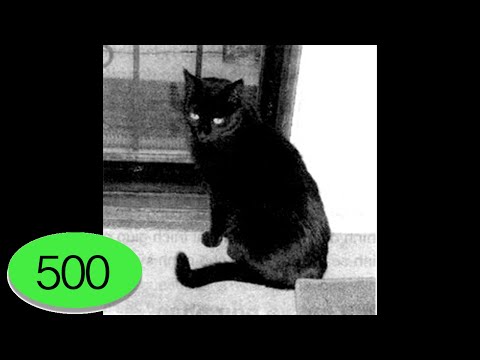 Video Toeic 500 - Part 1- 1 - Photographs - Listening TOEIC... - youtube