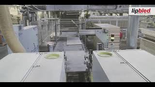 Lipbled Producerea Foilor De Usi De Interior