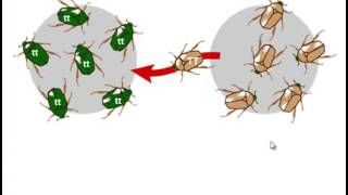 Evolutionary Forces