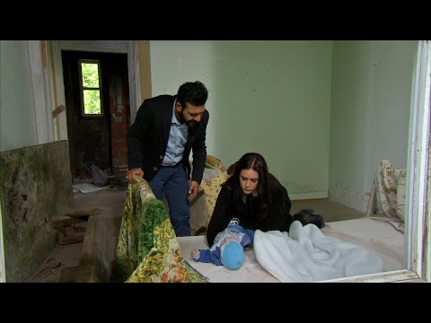 زهرة القصر الجزء الرابع النسخة الأصلية الحلقة HD 51