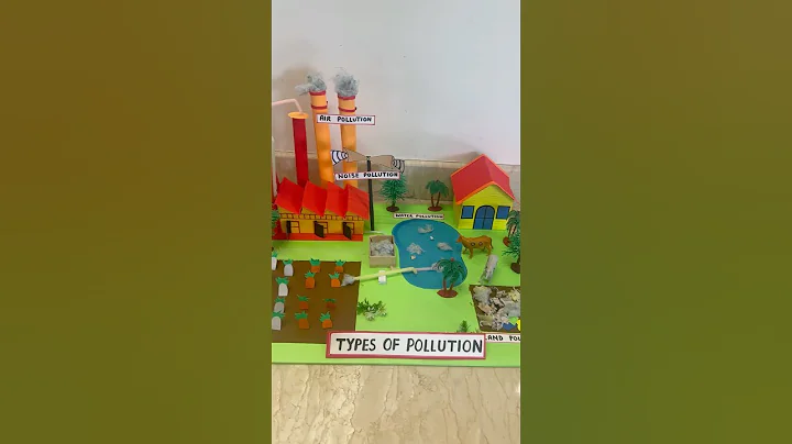 Types of pollution model #scienceproject #schoolproject