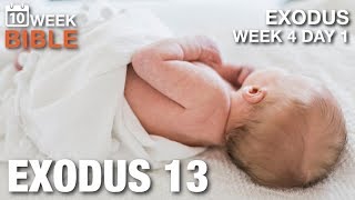 Consecrate the Firstborn | Week 4 Day 1 | Exodus 13
