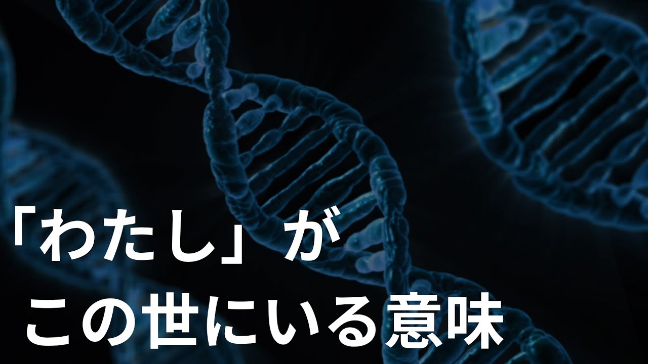 【自我の起源｜真木悠介】ー自我とエゴイズムから見る人間の自由と存在理由
