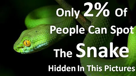 Only 2% Of People Can Spot The Snake Hidden In This Pictures