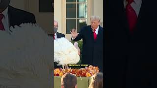 Funny presidential turkey pardons