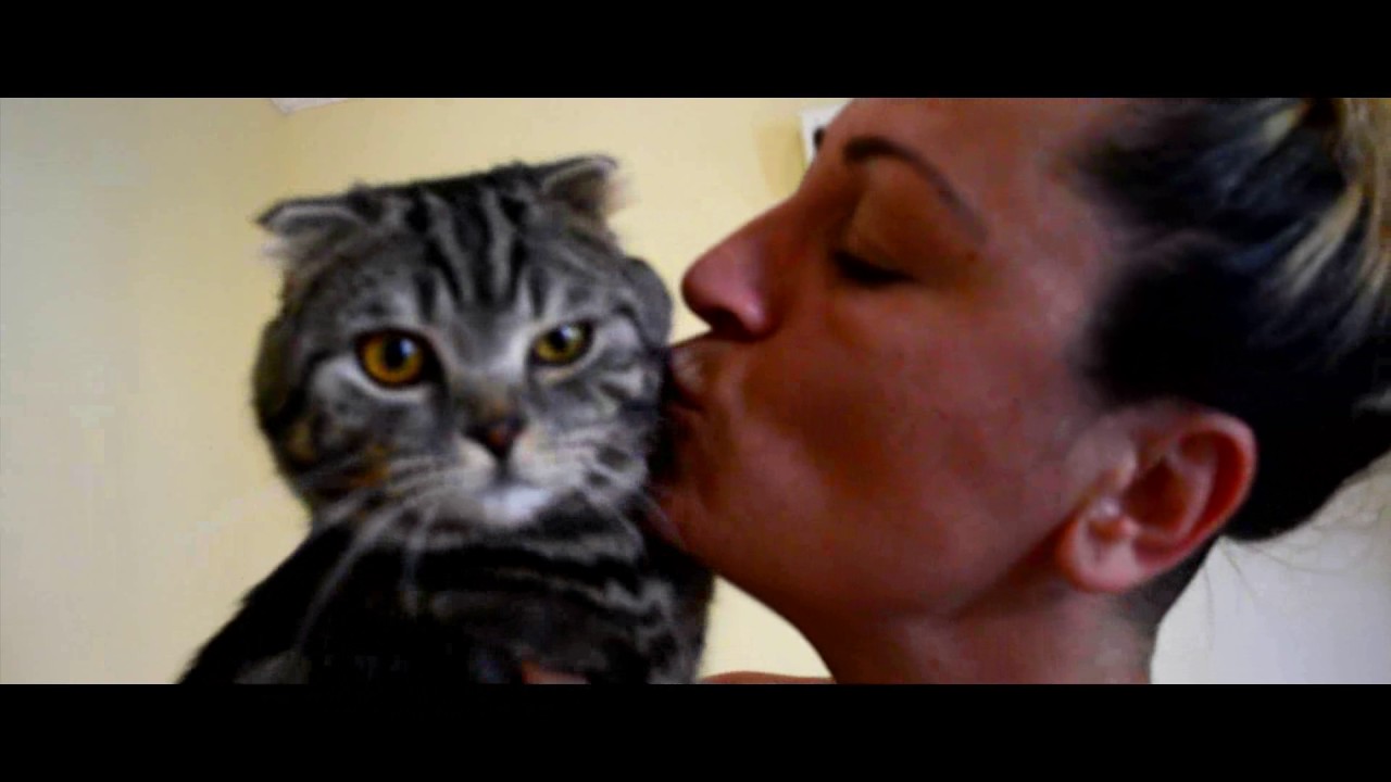 Club Resort Atlantis Hayvan Dostu