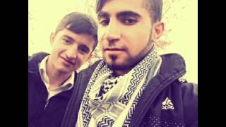 Terso Yaşam