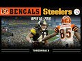 Troy Polamalu Locks Up Defensive Player of the Year! (Bengals vs. Steelers 2010, Week 14)