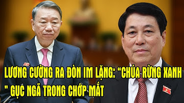 LƯƠNG CƯỜNG RA ĐÒN IM LẶNG: “CHÚA RỪNG XANH” GỤC NGÃ TRONG CHỚP MẮT