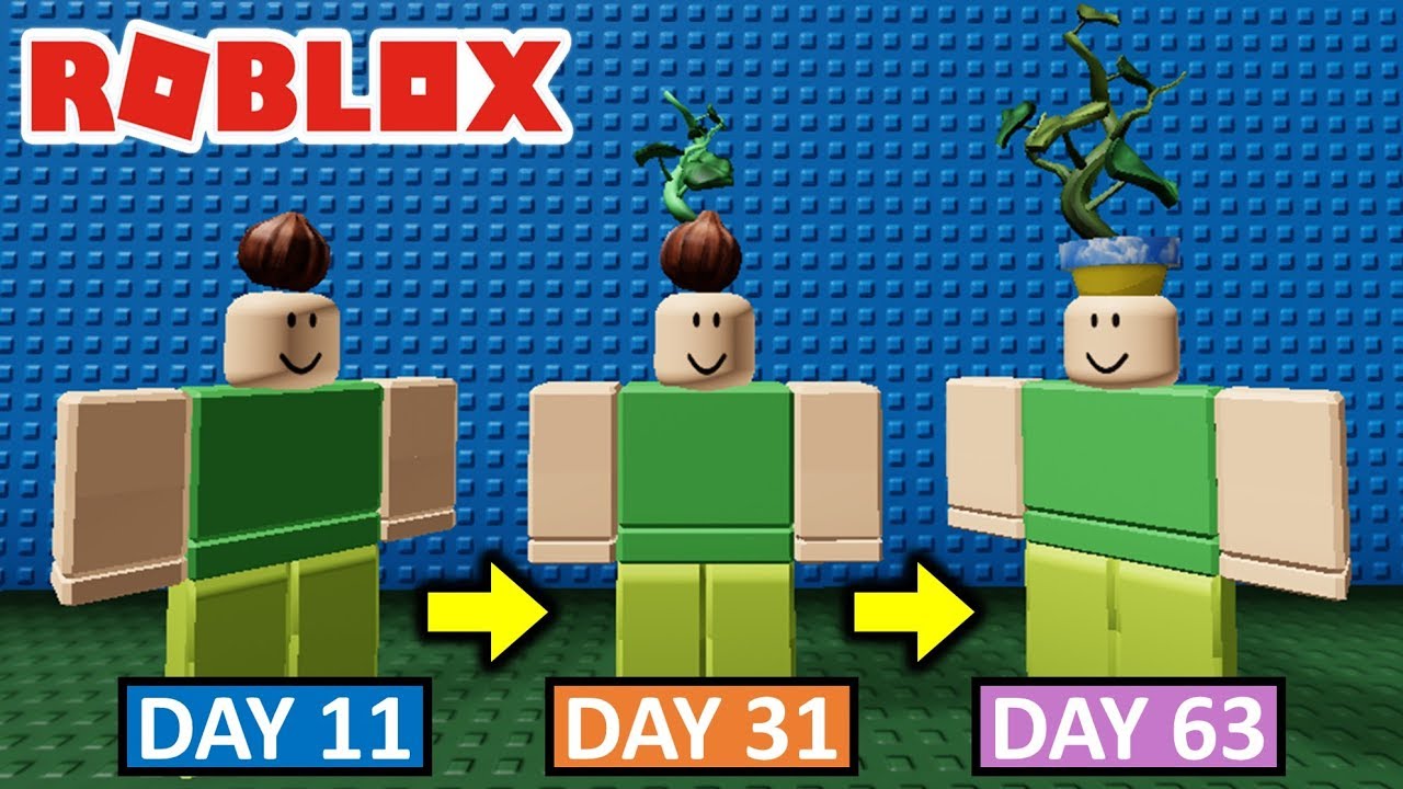 Enter These Roblox Promo Codes Quick By Sharkblox