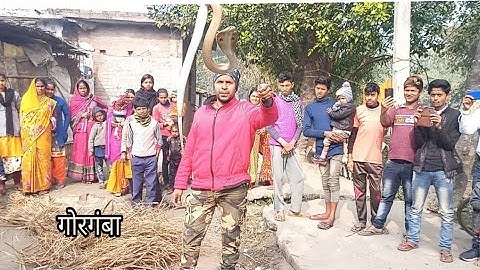 Saving a Deadly Cobra Snake | खतरनाक सांप से आमना सामना | Do Not Try