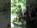 صور كيلوا وا غون من انمي القناص روعا اهداء اروع بسمله صديقتي الا الابد