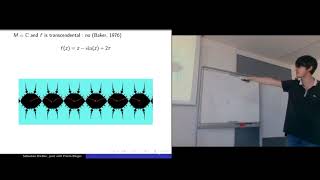 Workshop on wild dynamics - Sébastien Biebler