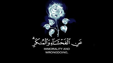 ايات قرانيه قصيره حالات واتس/راحه نفسيه/ارح سمعك /ارح قلبك/قران كريم بصوت جميل جدا /عبدالرحمن مسعد
