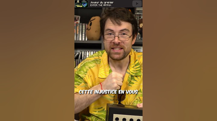 Et oui... Le Gamecube et pas la Gamecube ! ( Joueur du grenier - ENTER THE MATRIX )