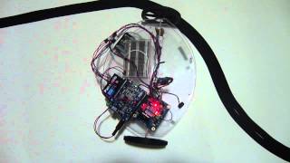 Testing Phase: Voice Recognition Robot