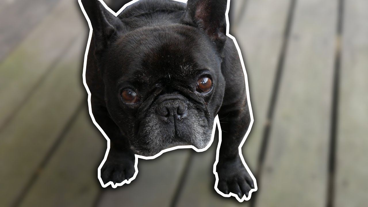 WAS MACHT EIGENTLICH TYSON ??