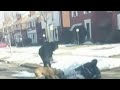 Video shows vicious dog attack on Detroit's west side