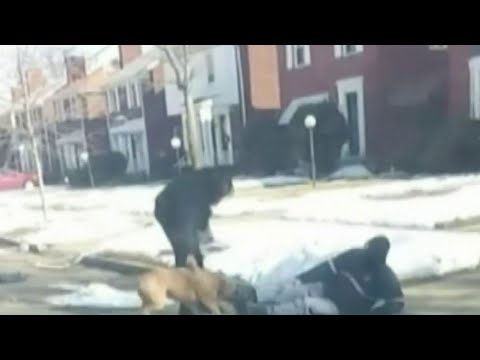 Wideo: Pet Scoop: Dziewczyny ratują uwięzionego mamy kota, wideo pokazuje listonosza grającego z psem