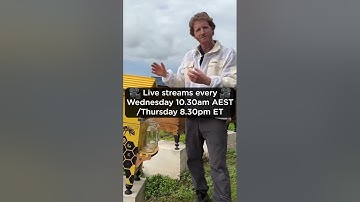 Learn how to split your hive with Pete 🐝🙌🏼